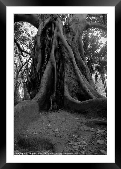 Tree at Rain in Monochrome Framed Mounted Print by Angelo DeVal