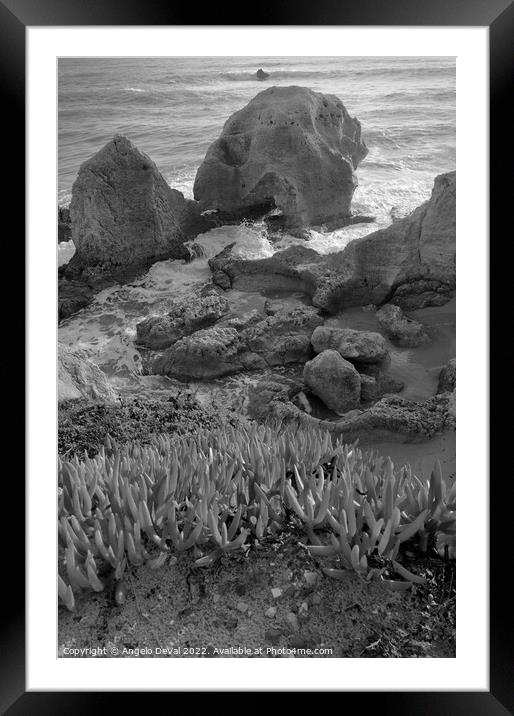 Nature of Gale Beach in Monochrome Framed Mounted Print by Angelo DeVal