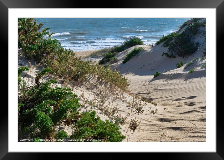 From Dunes to Sea Framed Mounted Print by Angelo DeVal
