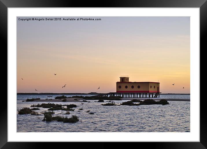 Lifesavers building and birds in Fuzeta Framed Mounted Print by Angelo DeVal