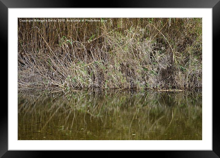 Zen creek and bamboos  Framed Mounted Print by Angelo DeVal