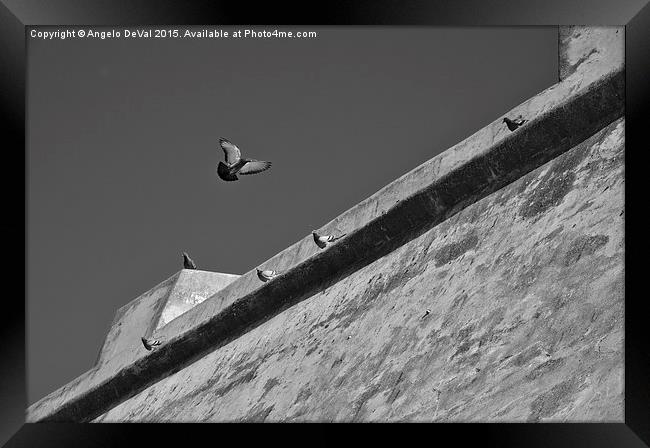 Pigeons flying in front of the canon battery in Po Framed Print by Angelo DeVal