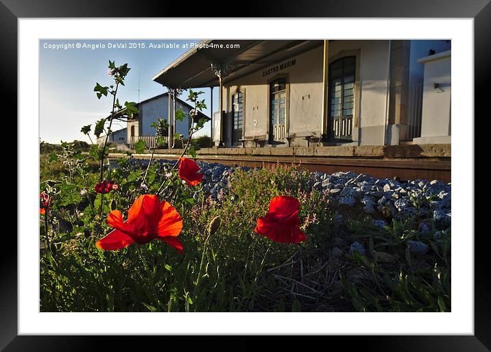 Poppy flowers in front of a train station in Castr Framed Mounted Print by Angelo DeVal