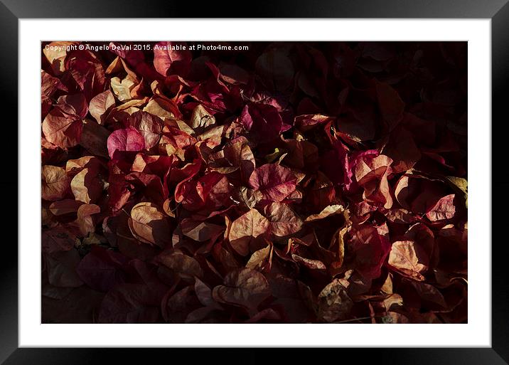 Autumns Fading Bougainvillea Mantle Framed Mounted Print by Angelo DeVal