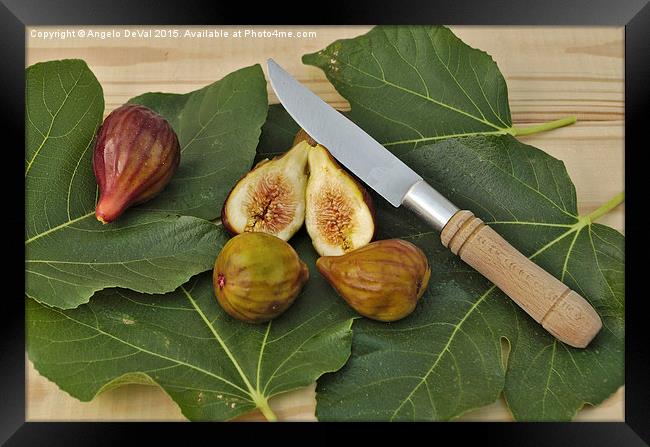 Fresh Figs Framed Print by Angelo DeVal