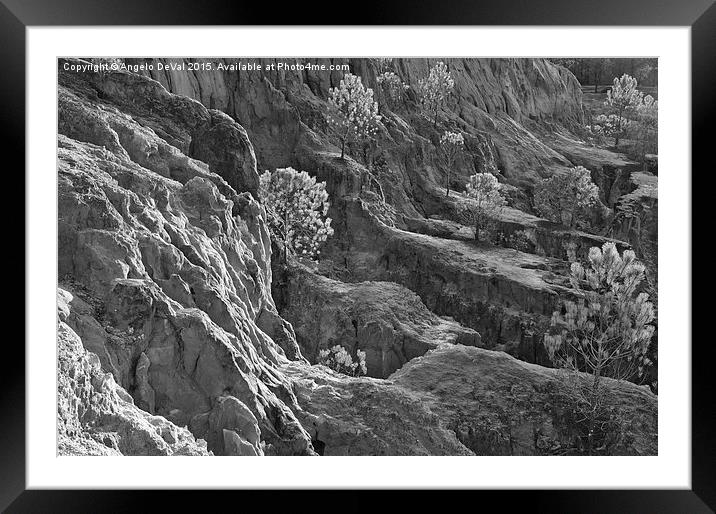 Cliff Pine Trees in Monochrome  Framed Mounted Print by Angelo DeVal