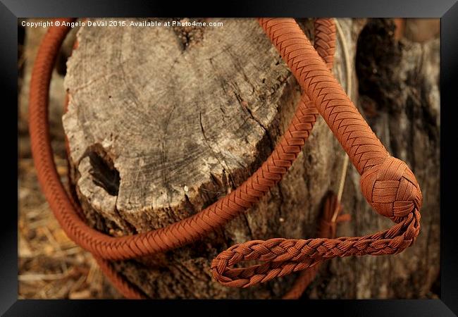 Brown Bullwhip around a tree trunk  Framed Print by Angelo DeVal