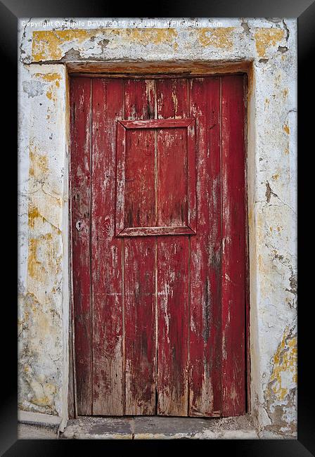 Weathered Beauty Framed Print by Angelo DeVal