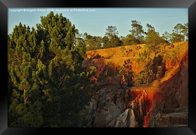 Pine Trees on the Cliffs Framed Print by Angelo DeVal