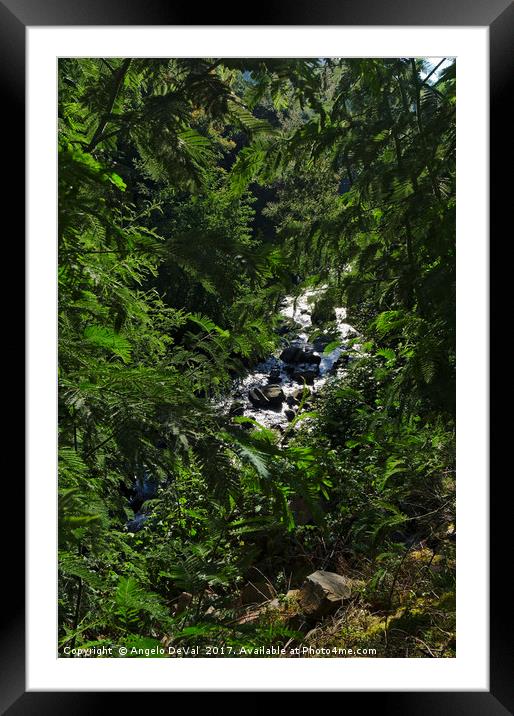 River and Leaves in Lousa Mountains. Portugal Framed Mounted Print by Angelo DeVal
