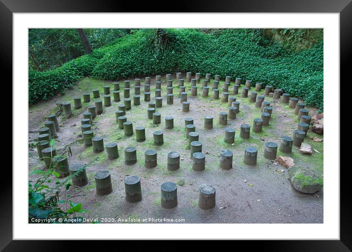 Forest Labyrinths Framed Mounted Print by Angelo DeVal