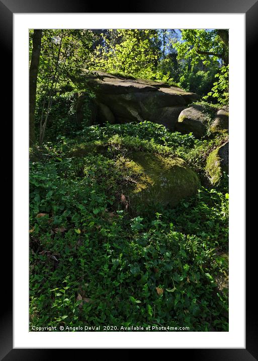 Wild Green in Sintra 2 Framed Mounted Print by Angelo DeVal