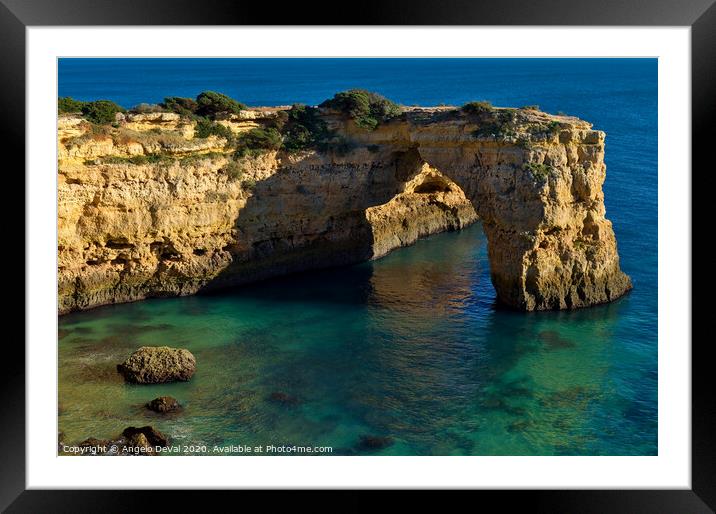 Natural Architecture Framed Mounted Print by Angelo DeVal