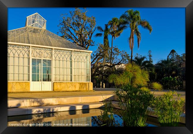 Greenhouse Facade - Botanical Garden of the University of Coimbra Framed Print by Angelo DeVal