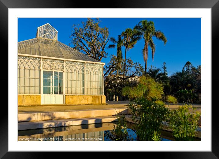 Greenhouse Facade - Botanical Garden of the University of Coimbra Framed Mounted Print by Angelo DeVal