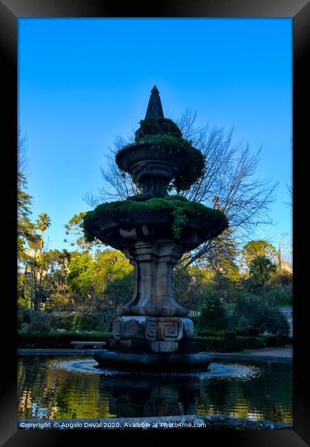 Fountain in the Botanical Garden of the University of Coimbra Framed Print by Angelo DeVal