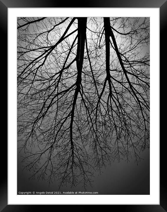 Twilight Tree Framed Mounted Print by Angelo DeVal