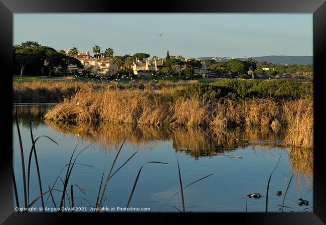 Birds by the Lake in Quinta do Lago Framed Print by Angelo DeVal
