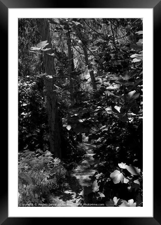 Amalia beach trail in Monochrome Framed Mounted Print by Angelo DeVal