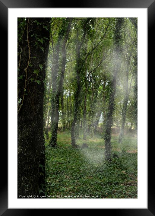 Trees Fog and Nature in Carvalhais Framed Mounted Print by Angelo DeVal