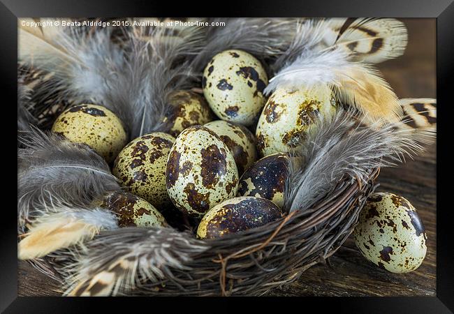 Eggs in the nest Framed Print by Beata Aldridge