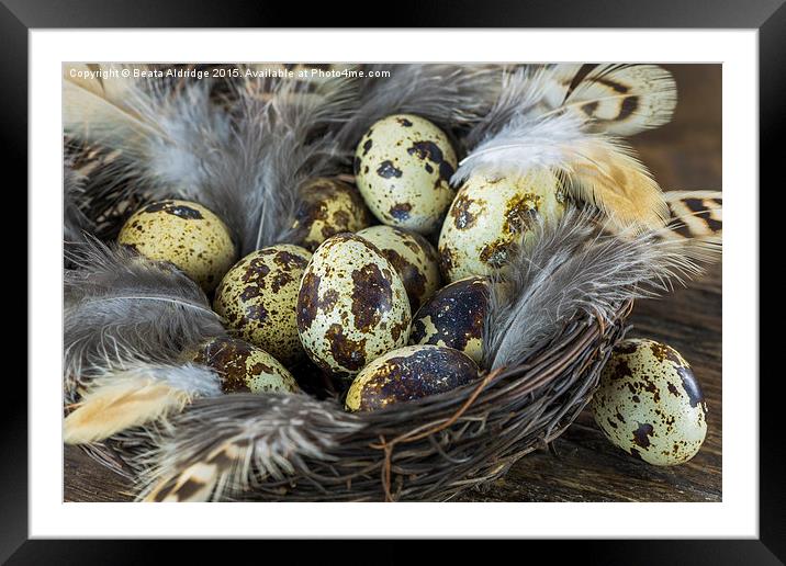 Eggs in the nest Framed Mounted Print by Beata Aldridge