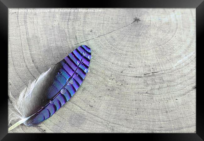  Blue feather Framed Print by Beata Aldridge