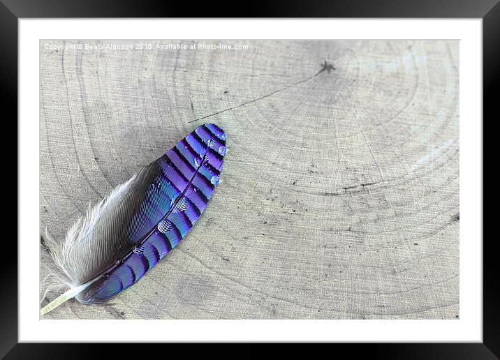  Blue feather Framed Mounted Print by Beata Aldridge