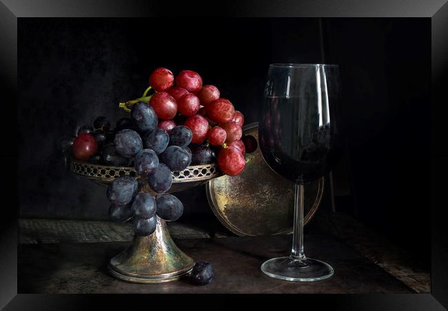 Vintage grapes and red wine Framed Print by Beata Aldridge