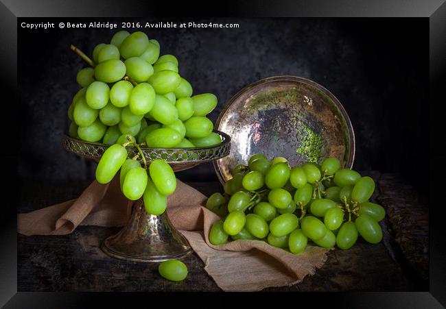 Vintage green grapes Framed Print by Beata Aldridge