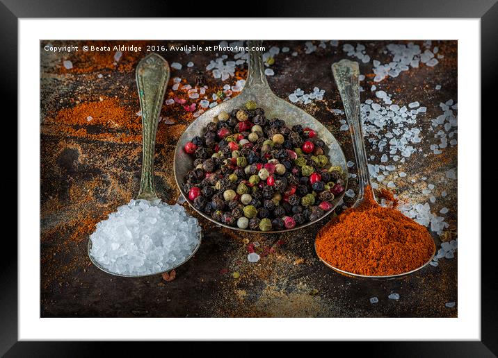The world of spices Framed Mounted Print by Beata Aldridge
