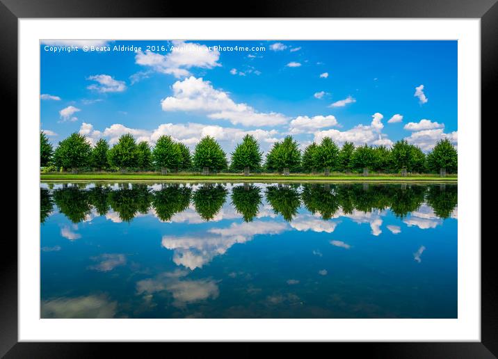 Reflections in the water Framed Mounted Print by Beata Aldridge