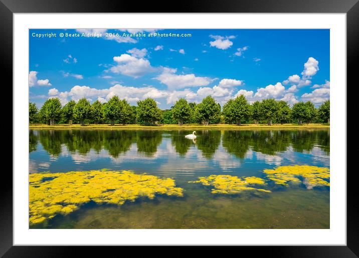 Reflections in the water Framed Mounted Print by Beata Aldridge