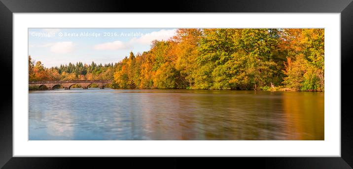Autumn lake Framed Mounted Print by Beata Aldridge