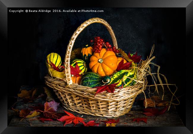 Autumn vegetables in a basket Framed Print by Beata Aldridge