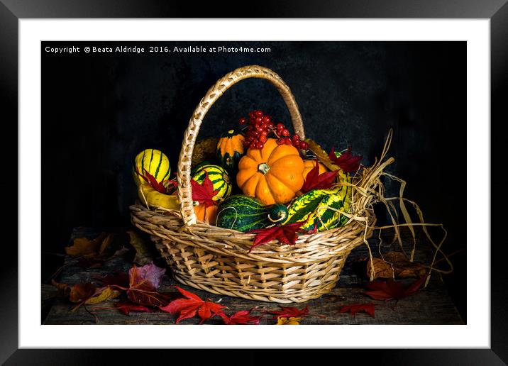 Autumn vegetables in a basket Framed Mounted Print by Beata Aldridge