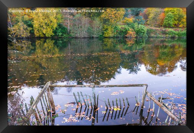 Enchanted lake Framed Print by Beata Aldridge