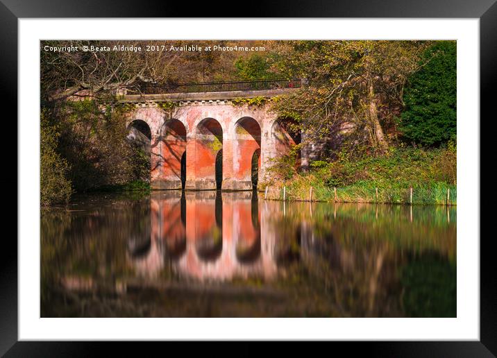 Old viaduct Framed Mounted Print by Beata Aldridge