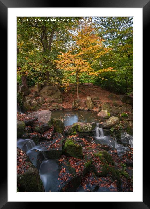 Autumn cascade in Virginia Water Framed Mounted Print by Beata Aldridge