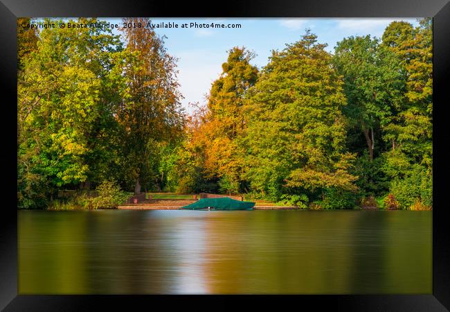 Autumn lake in Virginia Water Framed Print by Beata Aldridge