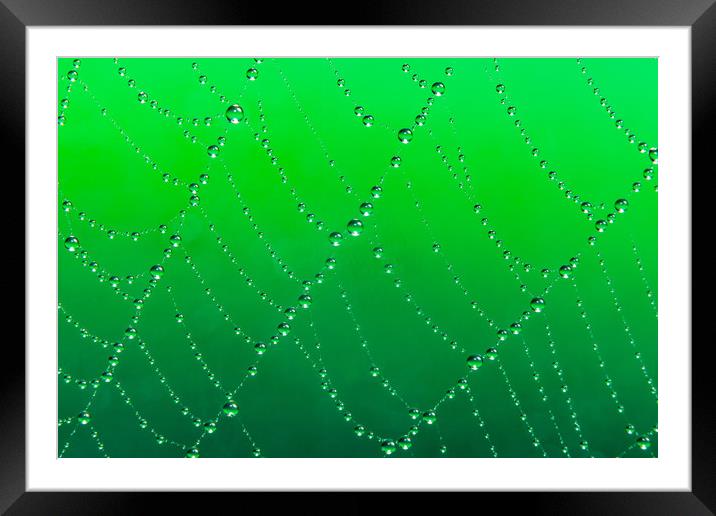 Spider web jewells Framed Mounted Print by Beata Aldridge