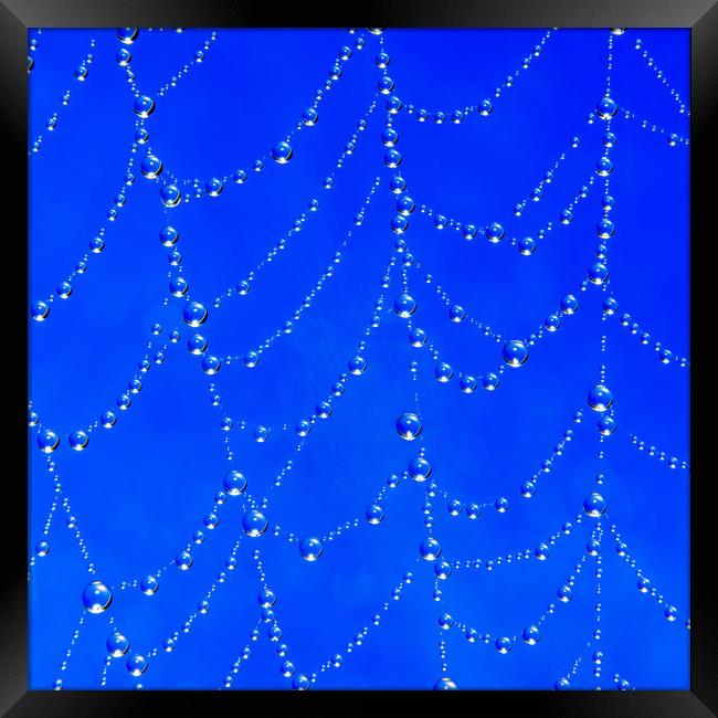 Spider web jewells Framed Print by Beata Aldridge
