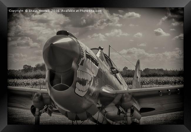 Curtis P40 Kittyhawk -  " LULU BELLE " Framed Print by Shaun Westell