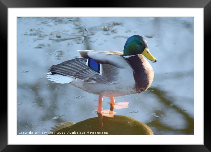 ON THIN ICE Framed Mounted Print by Nicky Cook