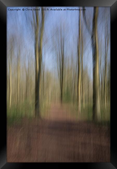 The path ahead Framed Print by Chris Good