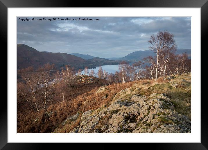  Birches over Keswick Framed Mounted Print by John Ealing