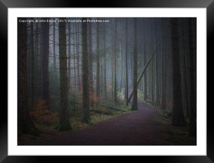 Into the woods Framed Mounted Print by John Ealing