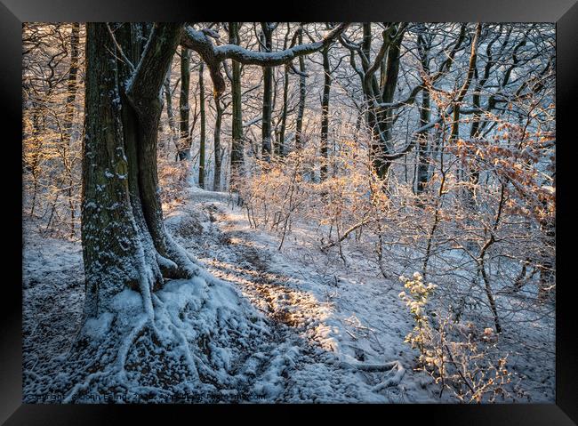 Frosty morning Framed Print by John Ealing