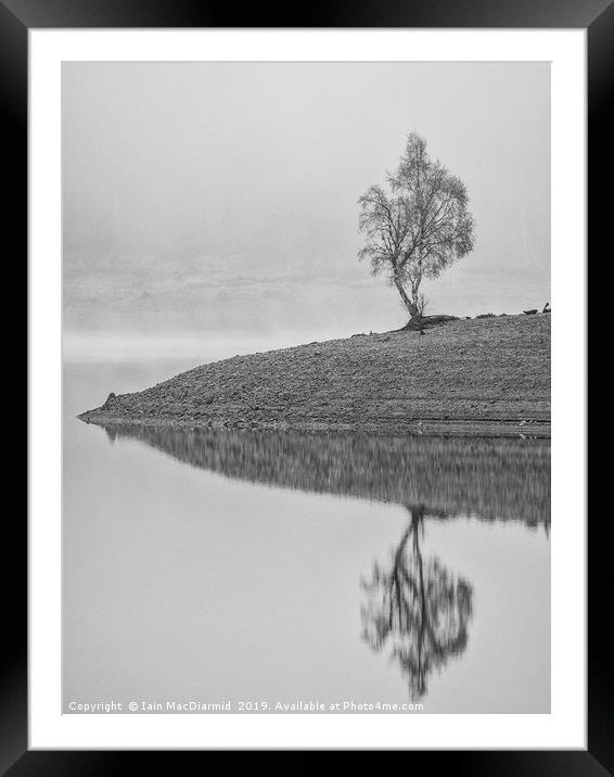 Lone Tree Framed Mounted Print by Iain MacDiarmid