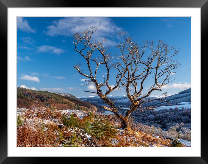 First Taste of Winter Framed Mounted Print by Iain MacDiarmid